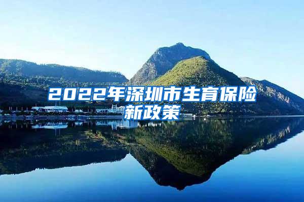 2022年深圳市生育保险新政策