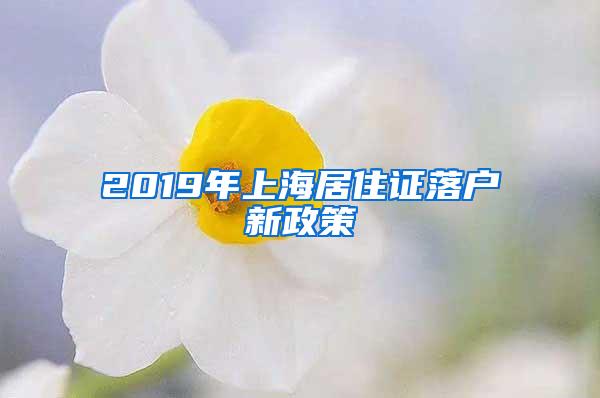 2019年上海居住证落户新政策