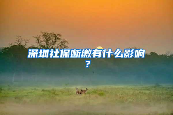 深圳社保断缴有什么影响？