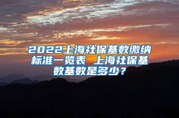 2022上海社保基数缴纳标准一览表 上海社保基数基数是多少？