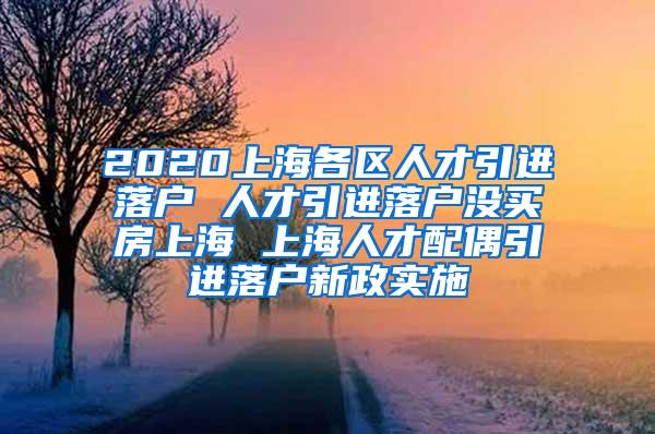 2020上海各区人才引进落户 人才引进落户没买房上海 上海人才配偶引进落户新政实施