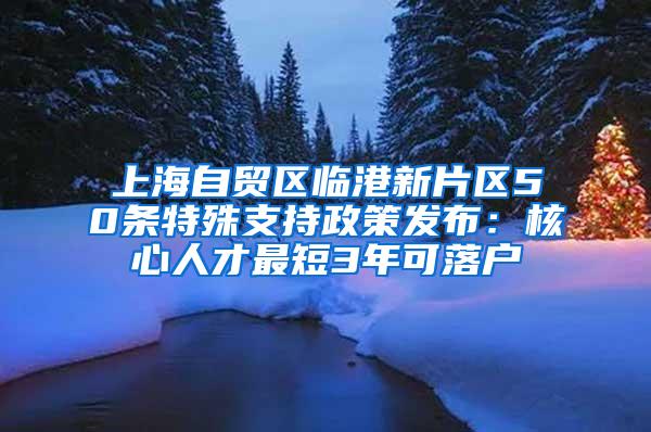 上海自贸区临港新片区50条特殊支持政策发布：核心人才最短3年可落户