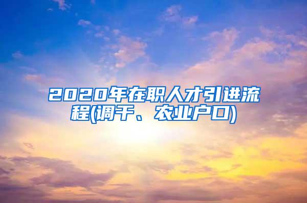 2020年在职人才引进流程(调干、农业户口)