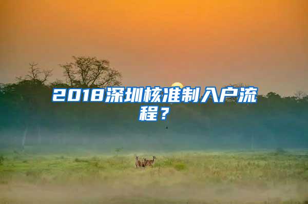 2018深圳核准制入户流程？