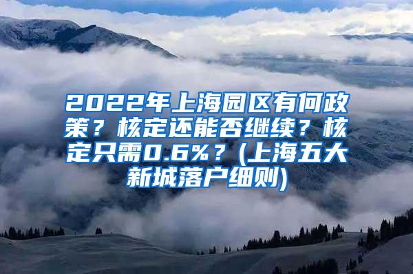 2022年上海园区有何政策？核定还能否继续？核定只需0.6%？(上海五大新城落户细则)