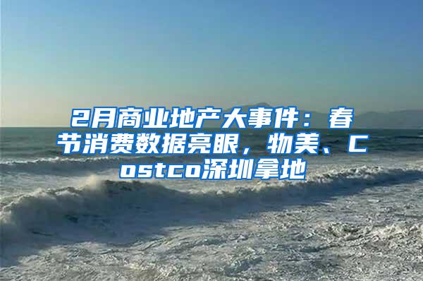 2月商业地产大事件：春节消费数据亮眼，物美、Costco深圳拿地