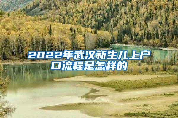 2022年武汉新生儿上户口流程是怎样的