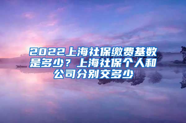 2022上海社保缴费基数是多少？上海社保个人和公司分别交多少