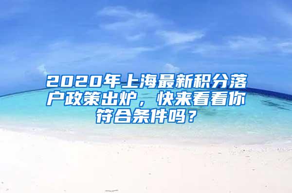 2020年上海最新积分落户政策出炉，快来看看你符合条件吗？