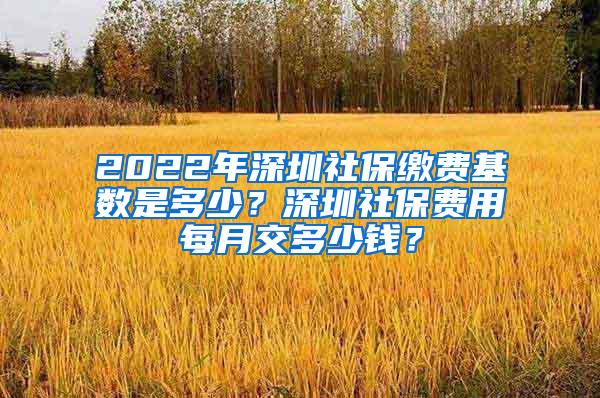 2022年深圳社保缴费基数是多少？深圳社保费用每月交多少钱？