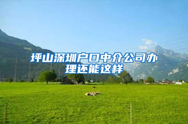 坪山深圳户口中介公司办理还能这样