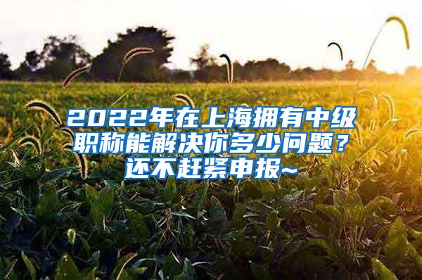 2022年在上海拥有中级职称能解决你多少问题？还不赶紧申报~