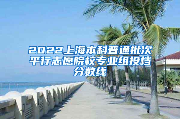 2022上海本科普通批次平行志愿院校专业组投档分数线