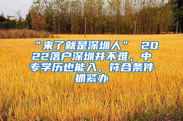 “来了就是深圳人” 2022落户深圳并不难，中专学历也能入，符合条件抓紧办