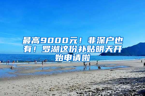 最高9000元！非深户也有！罗湖这份补贴明天开始申请啦