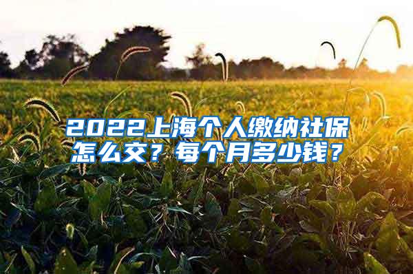 2022上海个人缴纳社保怎么交？每个月多少钱？