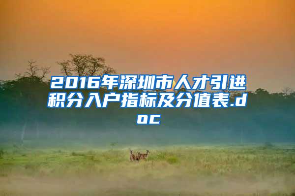 2016年深圳市人才引进积分入户指标及分值表.doc