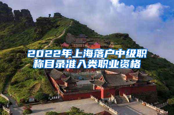 2022年上海落户中级职称目录准入类职业资格
