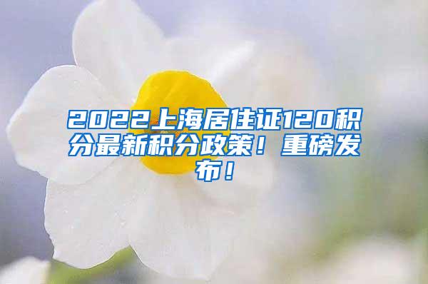 2022上海居住证120积分最新积分政策！重磅发布！