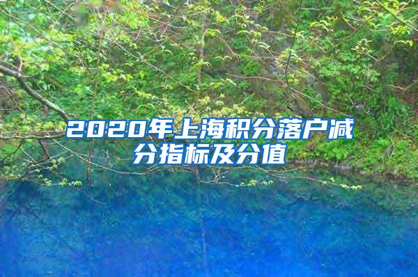 2020年上海积分落户减分指标及分值