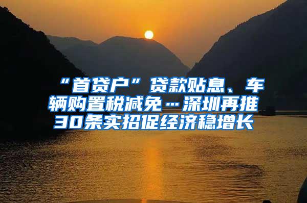 “首贷户”贷款贴息、车辆购置税减免…深圳再推30条实招促经济稳增长