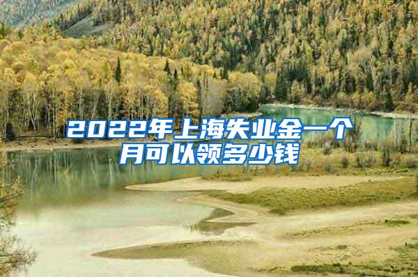 2022年上海失业金一个月可以领多少钱