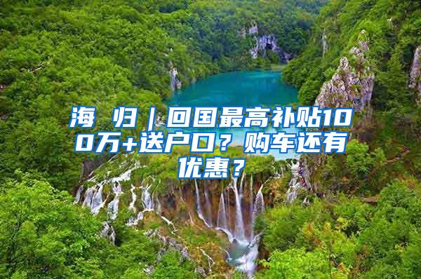 海 归｜回国最高补贴100万+送户口？购车还有优惠？