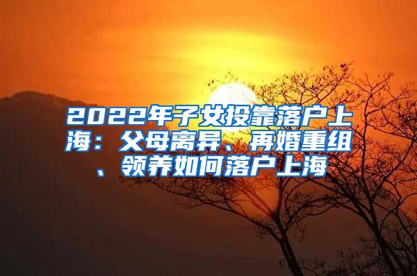 2022年子女投靠落户上海：父母离异、再婚重组、领养如何落户上海
