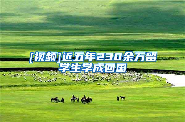 [视频]近五年230余万留学生学成回国