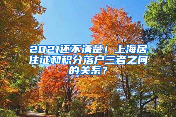 2021还不清楚！上海居住证和积分落户三者之间的关系？