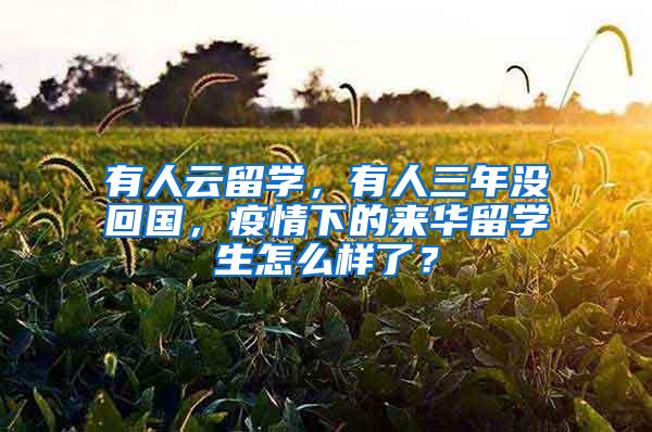 有人云留学，有人三年没回国，疫情下的来华留学生怎么样了？