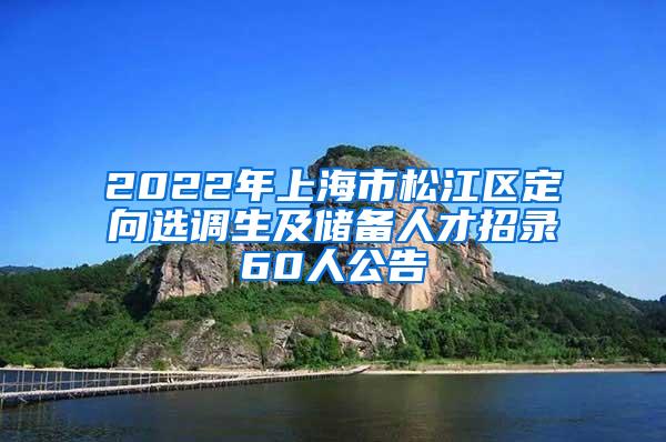 2022年上海市松江区定向选调生及储备人才招录60人公告
