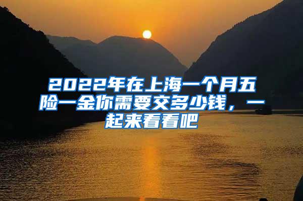 2022年在上海一个月五险一金你需要交多少钱，一起来看看吧