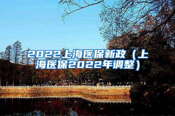 2022上海医保新政（上海医保2022年调整）