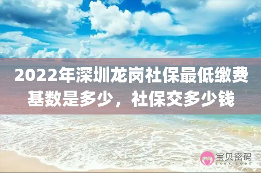 2022年深圳龙岗社保最低缴费基数是多少，社保交多少钱