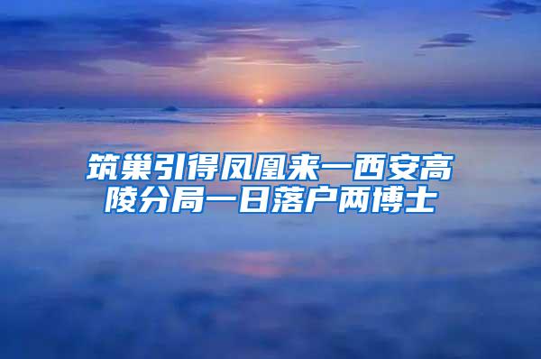 筑巢引得凤凰来一西安高陵分局一日落户两博士