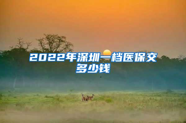 2022年深圳一档医保交多少钱