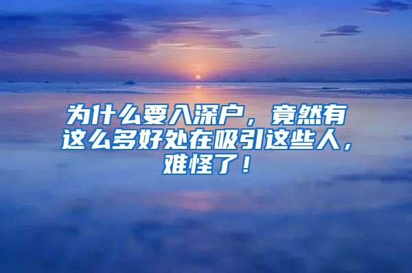 为什么要入深户，竟然有这么多好处在吸引这些人，难怪了！