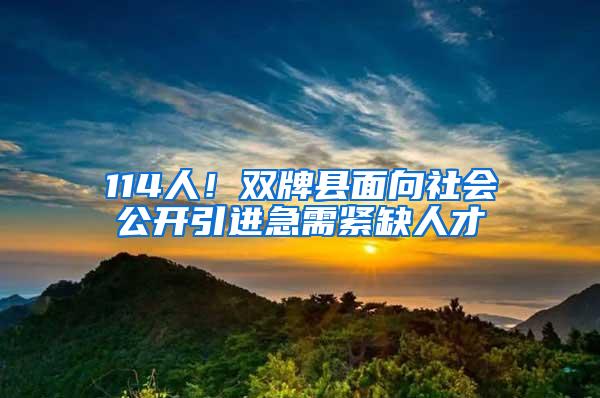 114人！双牌县面向社会公开引进急需紧缺人才