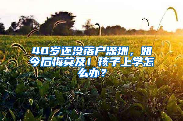 40岁还没落户深圳，如今后悔莫及！孩子上学怎么办？