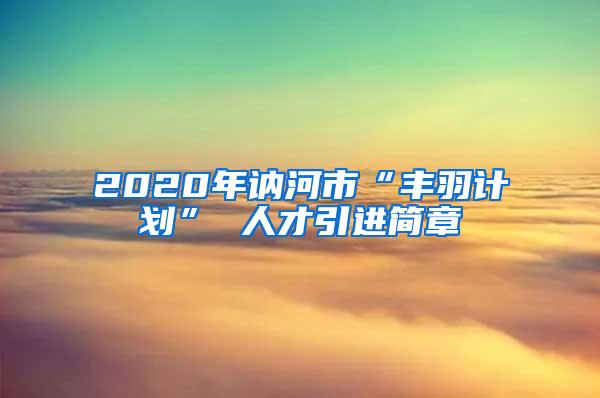 2020年讷河市“丰羽计划” 人才引进简章