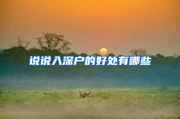 说说入深户的好处有哪些