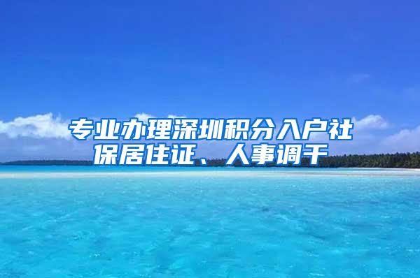 专业办理深圳积分入户社保居住证、人事调干