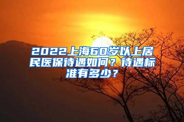 2022上海60岁以上居民医保待遇如何？待遇标准有多少？
