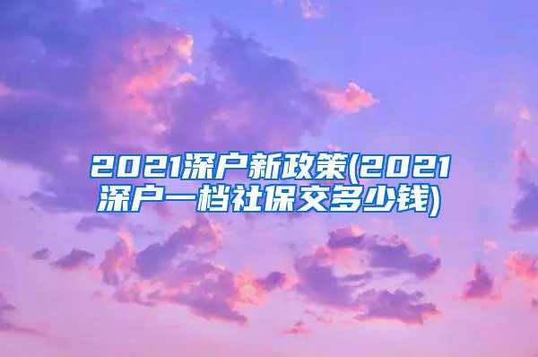 2021深户新政策(2021深户一档社保交多少钱)