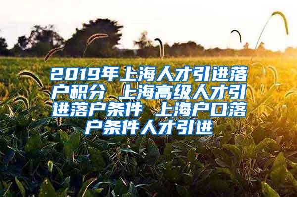 2019年上海人才引进落户积分 上海高级人才引进落户条件 上海户口落户条件人才引进