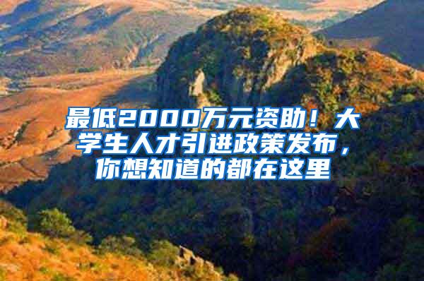 最低2000万元资助！大学生人才引进政策发布，你想知道的都在这里