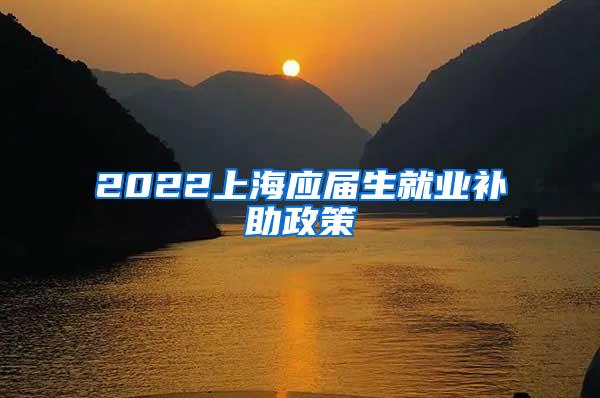 2022上海应届生就业补助政策