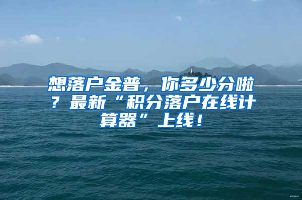 想落户金普，你多少分啦？最新“积分落户在线计算器”上线！