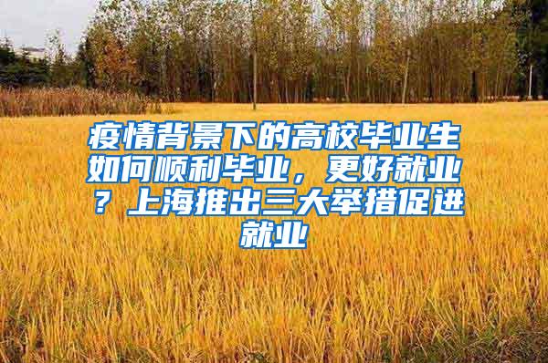 疫情背景下的高校毕业生如何顺利毕业，更好就业？上海推出三大举措促进就业